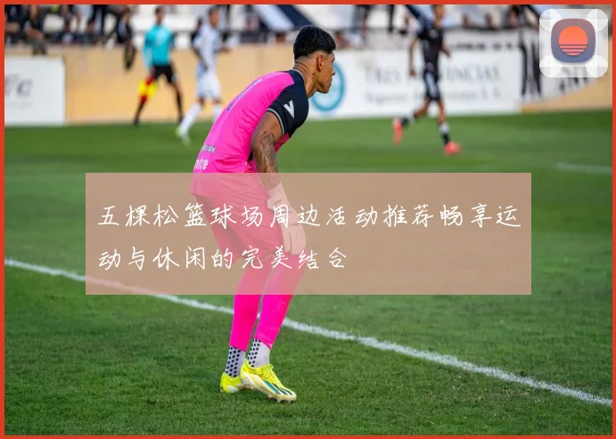 五棵松篮球场周边活动推荐畅享运动与休闲的完美结合