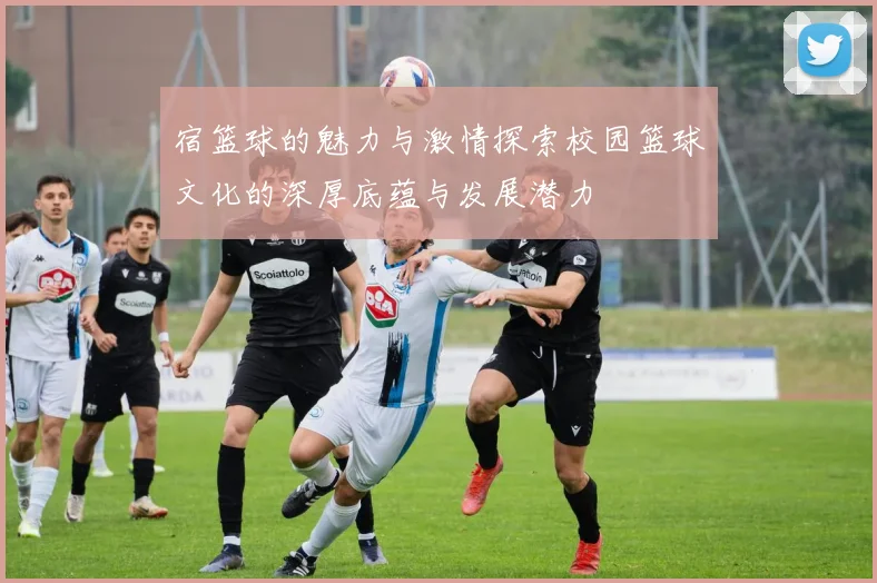 宿篮球的魅力与激情探索校园篮球文化的深厚底蕴与发展潜力