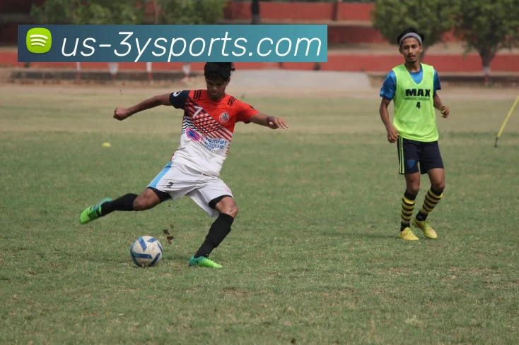 三亿体育官方网站平台生态图